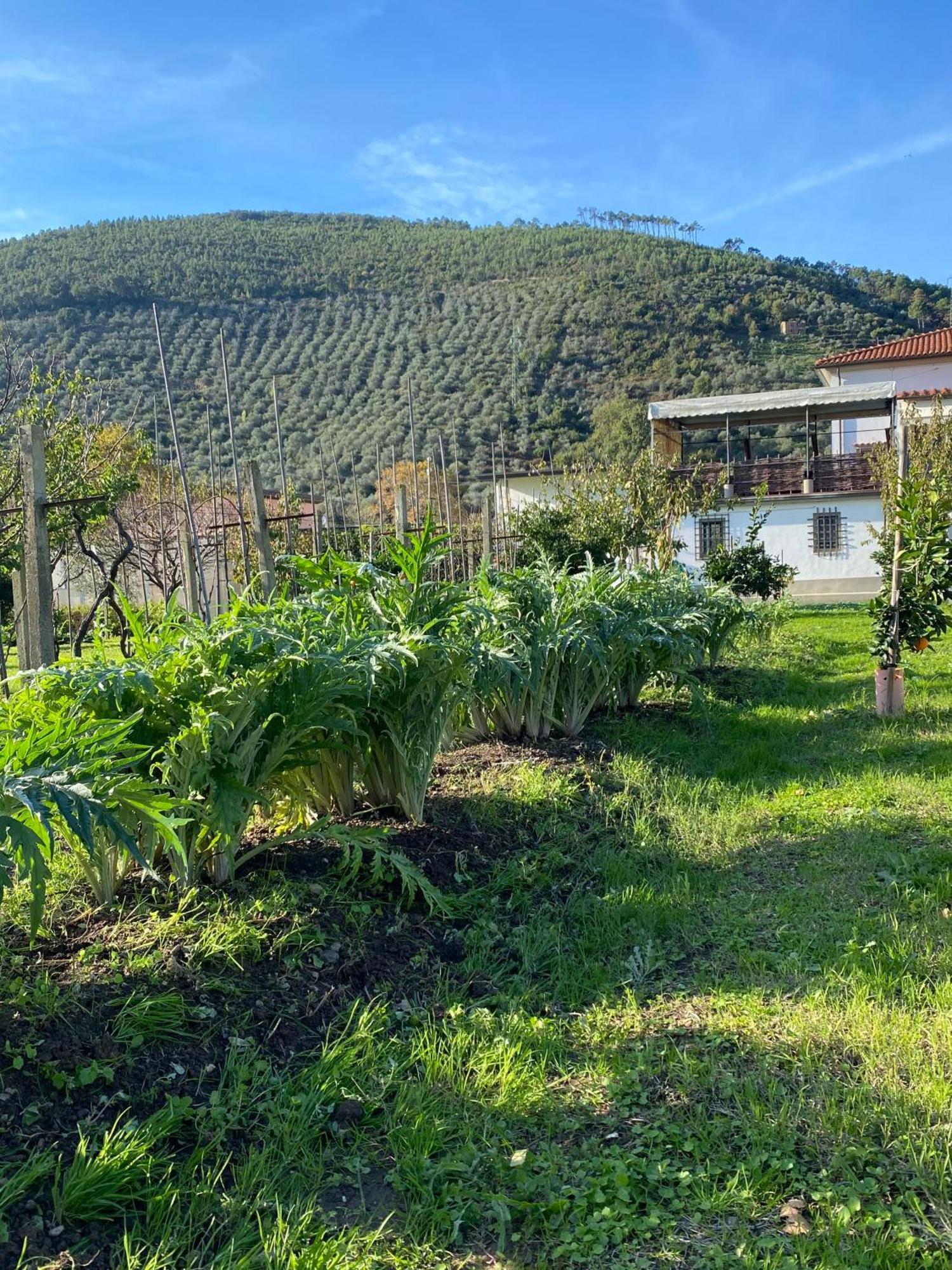 La Tenuta Di Eva Pisa Exterior photo